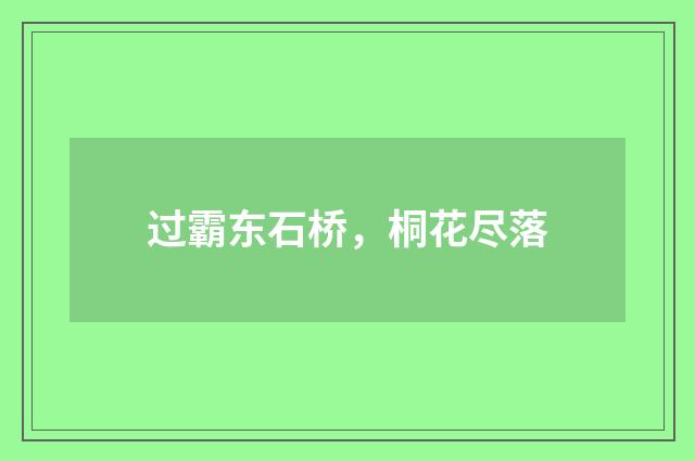 过霸东石桥，桐花尽落