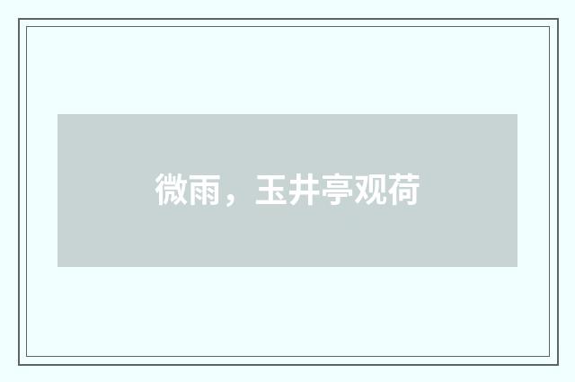 微雨，玉井亭观荷