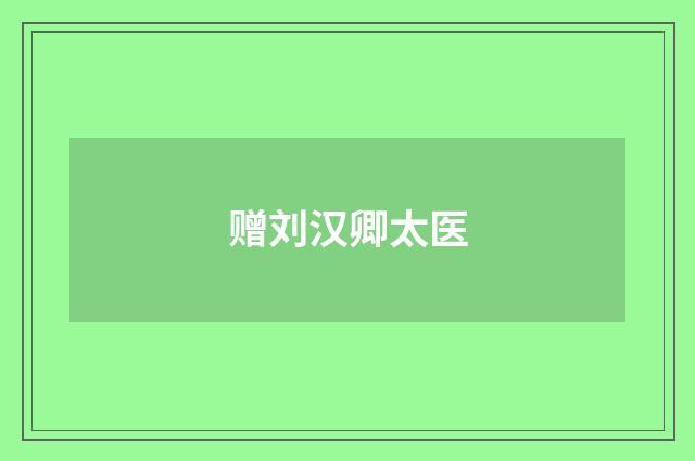 赠刘汉卿太医