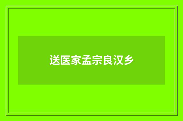 送医家孟宗良汉乡