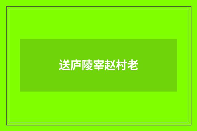 送庐陵宰赵村老
