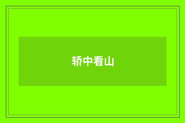 轿中看山
