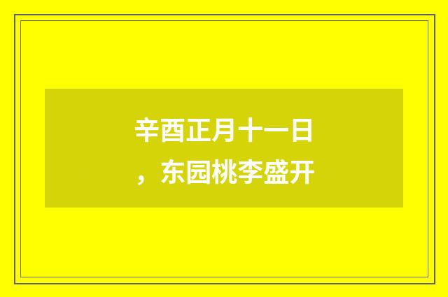 辛酉正月十一日，东园桃李盛开