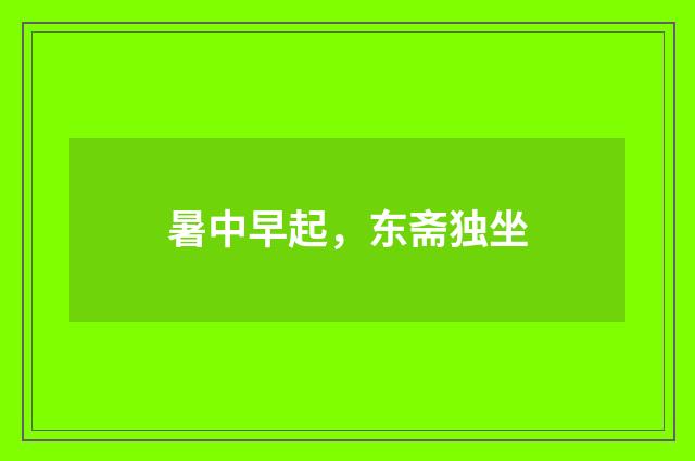 暑中早起，东斋独坐