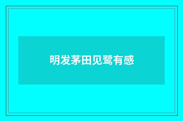 明发茅田见鹭有感