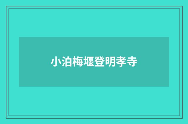 小泊梅堰登明孝寺