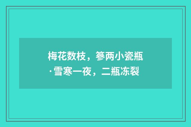梅花数枝，篸两小瓷瓶·雪寒一夜，二瓶冻裂