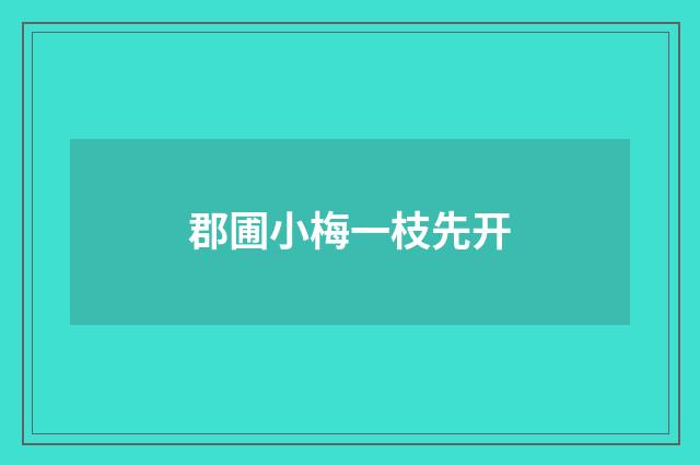 郡圃小梅一枝先开
