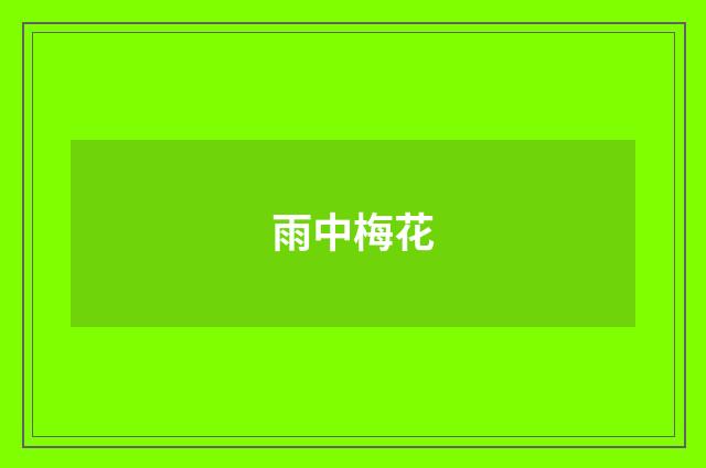 雨中梅花