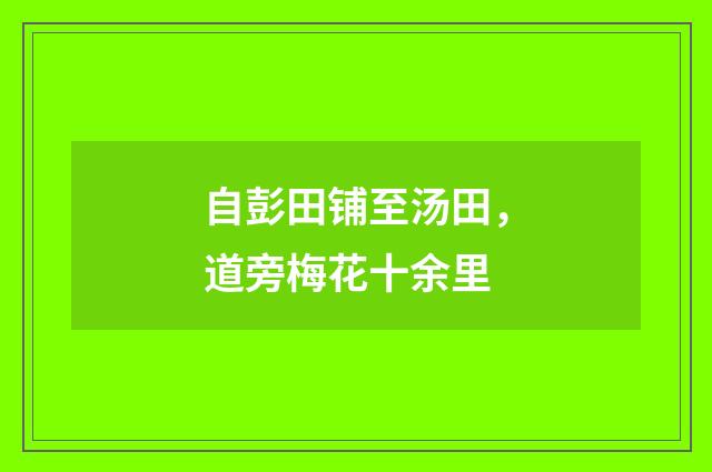 自彭田铺至汤田，道旁梅花十余里