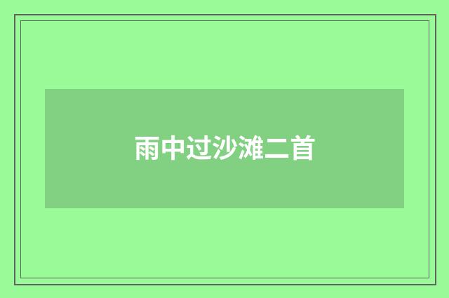 雨中过沙滩二首