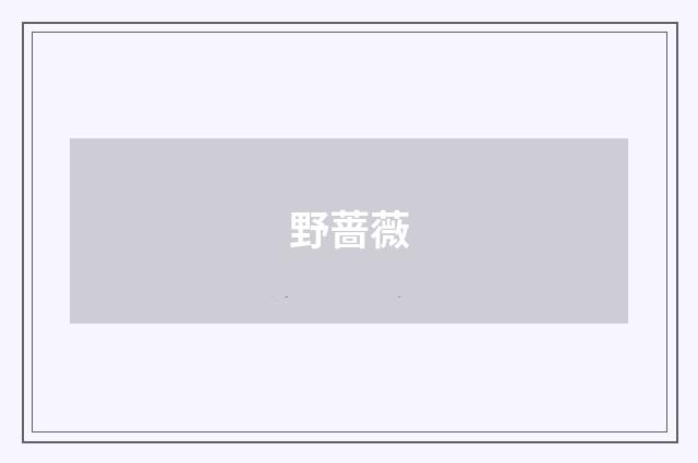 野蔷薇