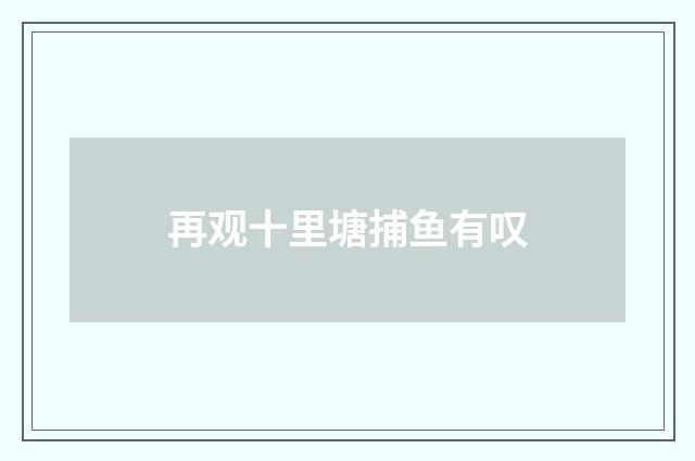 再观十里塘捕鱼有叹