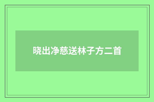 晓出净慈送林子方二首