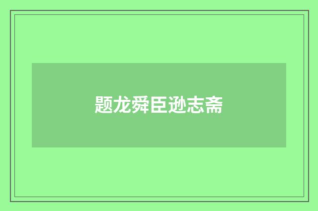 题龙舜臣逊志斋