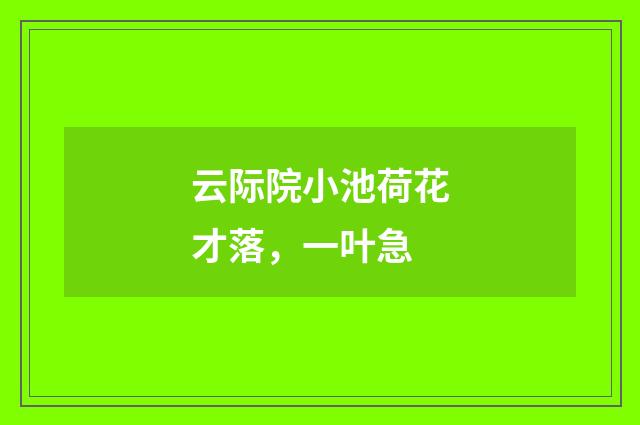 云际院小池荷花才落，一叶急