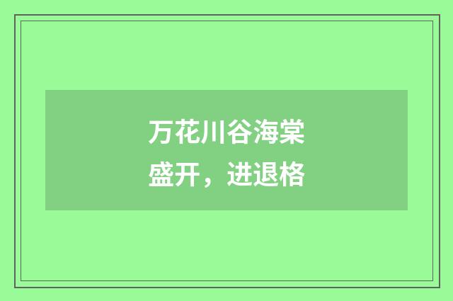 万花川谷海棠盛开，进退格