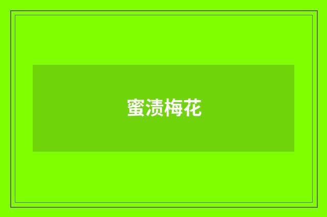 蜜渍梅花