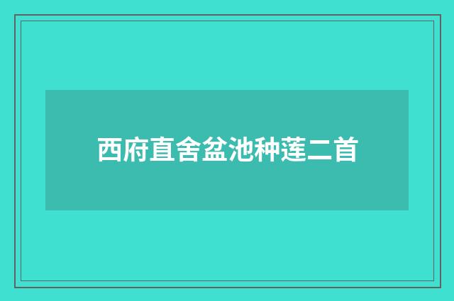 西府直舍盆池种莲二首