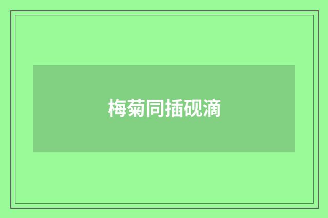 梅菊同插砚滴