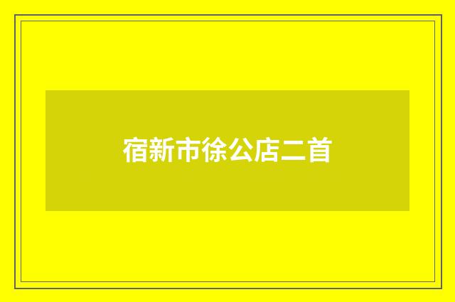 宿新市徐公店二首