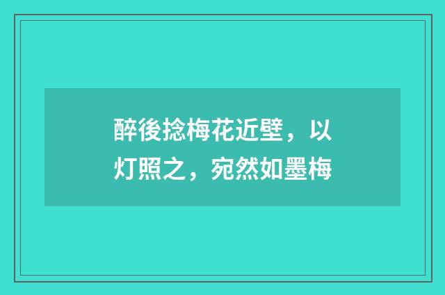 醉後捻梅花近壁，以灯照之，宛然如墨梅