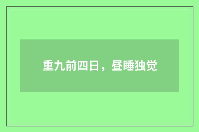 重九前四日，昼睡独觉