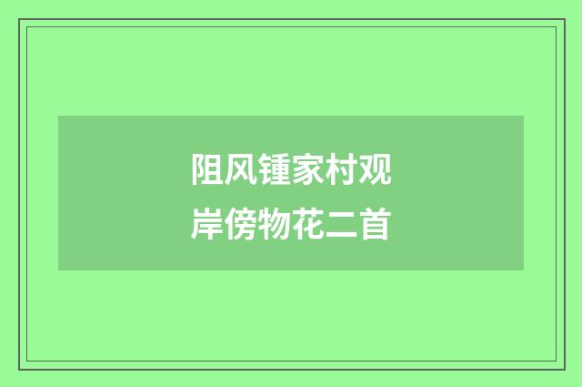 阻风锺家村观岸傍物花二首