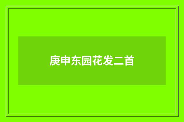 庚申东园花发二首