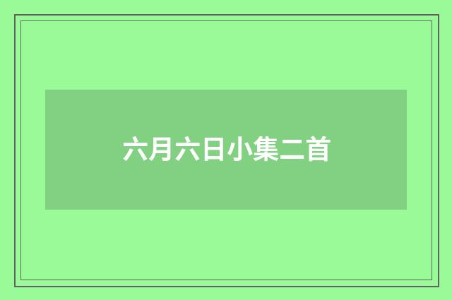 六月六日小集二首