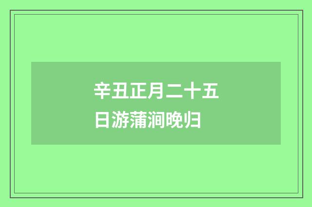 辛丑正月二十五日游蒲涧晚归