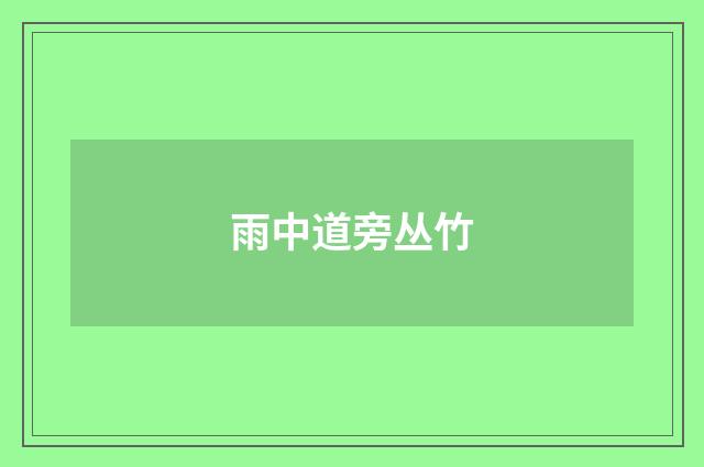 雨中道旁丛竹