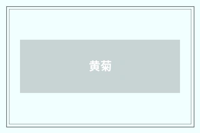 黄菊