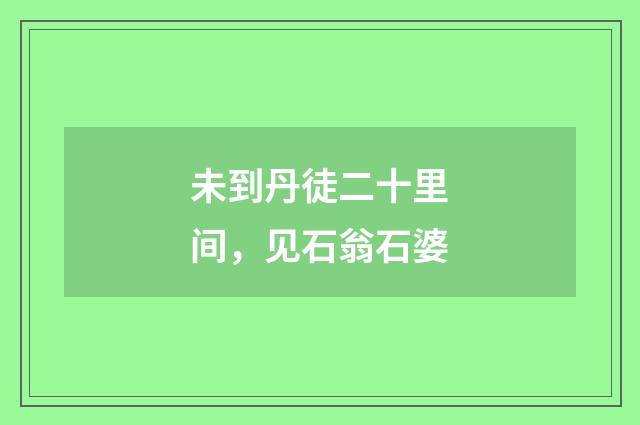 未到丹徒二十里间，见石翁石婆