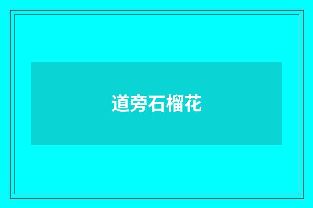 道旁石榴花