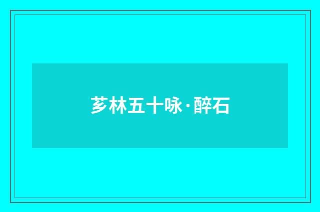 芗林五十咏·醉石
