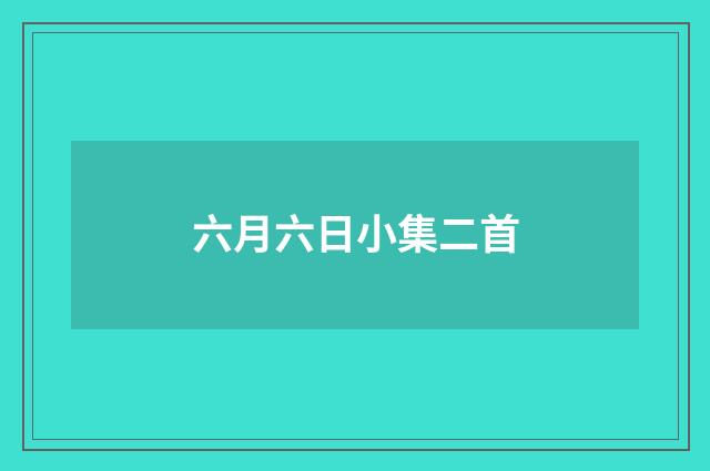 六月六日小集二首