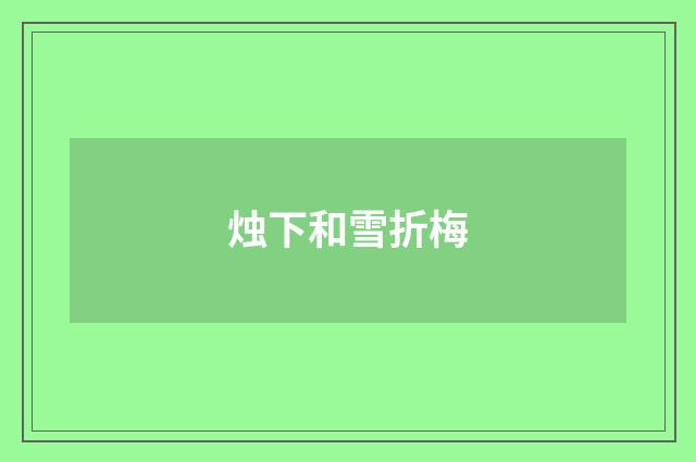 烛下和雪折梅