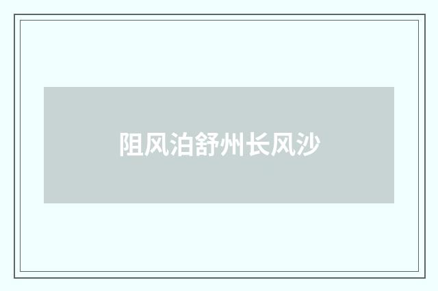 阻风泊舒州长风沙