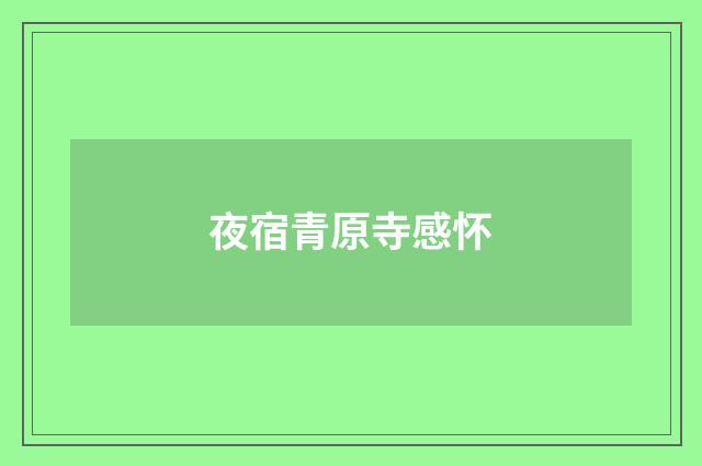 夜宿青原寺感怀