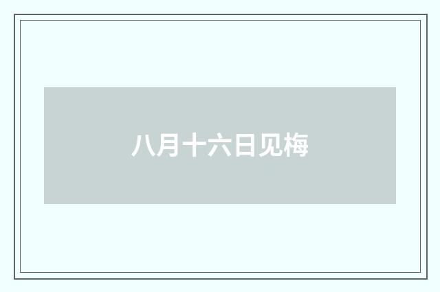 八月十六日见梅