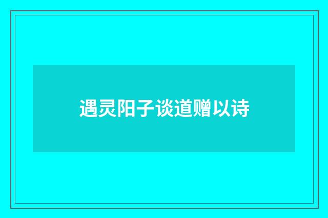 遇灵阳子谈道赠以诗