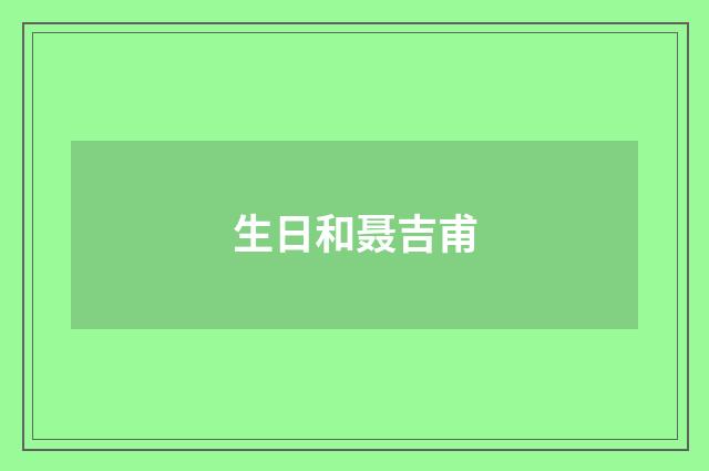 生日和聂吉甫