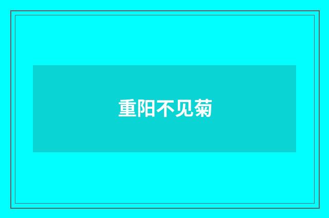 重阳不见菊