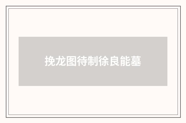挽龙图待制徐良能墓