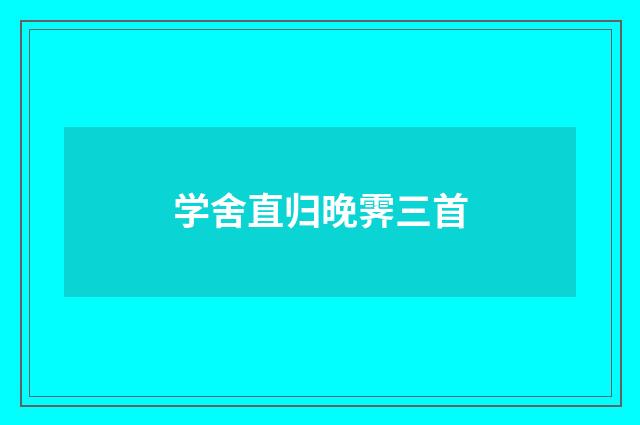 学舍直归晚霁三首