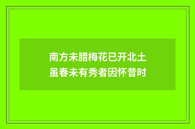 南方未腊梅花已开北土虽春未有秀者因怀昔时