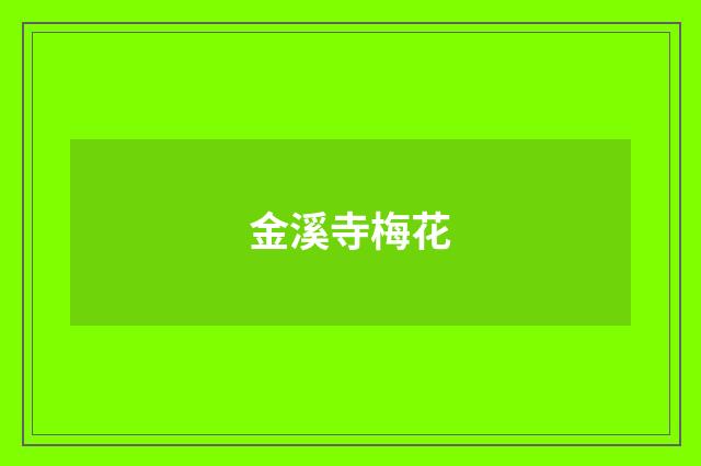 金溪寺梅花