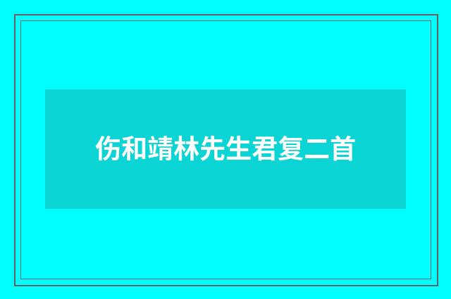 伤和靖林先生君复二首