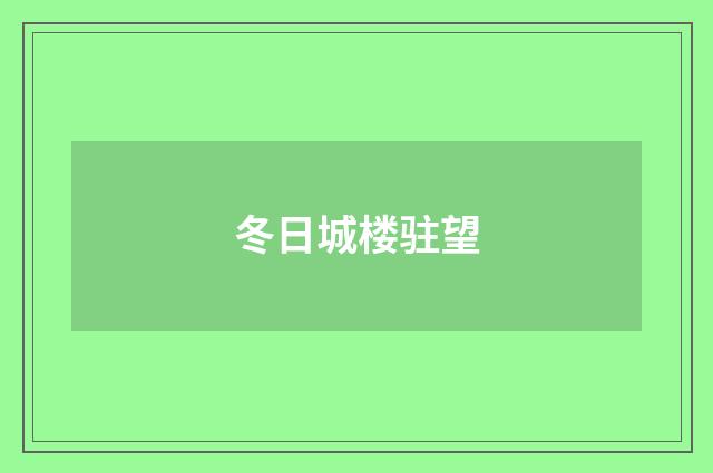 冬日城楼驻望